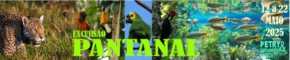 PANTANAL ESPETACULAR